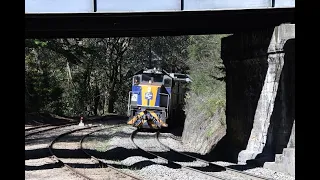 RailFirst's T Class in a SSR Light Engine Movement to Islington, South Australia