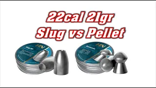 Airgun Pellet vs Slug...21gr H&N