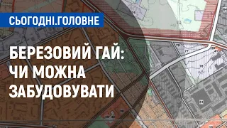 Березовий гай: чи можна забудовувати | Сьогодні. Головне