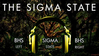 The Sigma State - The State of Consciousness !