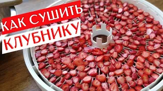 HOW TO DRY STRAWBERRY | Drying Strawberries In Electric Dryer