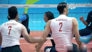 Morteza mehrzad in volleyball player