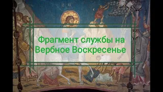 Фрагмент службы на праздник  Входа Господа в Иеросалим