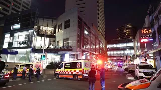 Police identify Bondi Junction stabbing offender