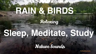 For Sleep, Meditation, Study. Sounds Of nature: Rain And Birds At The Forest Lake.