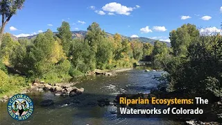 Riparian Ecosystems: The Waterworks of Colorado