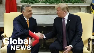 Trump invites Hungary's controversial PM to White House despite calls to cancel meeting