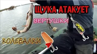 НЕНАСЫТНАЯ / ЩУКА / ВЕРТУШКИ / КОЛЕБАЛКИ / 24 КМ. НА ВЕЛО. В ОДНУ СТОРОНУ