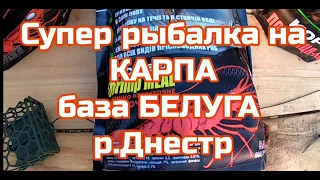 1 серия.СУПЕР рыбалка на Карпа.База Белуга р.Днестр.Новинка 2021 груз КОМЕТА