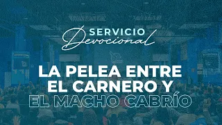 La Pelea entre el Carnero y Macho Cabrío - Apóstol Sergio Enríquez | Primer Servicio