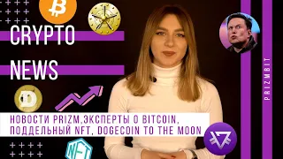 КРИПТОНОВОСТИ #9: Новости Prizm, Эксперты о Bitcoin, Поддельный NFT, Dogecoin to the moon