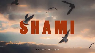 SHAMI - Белые птицы (Премьера трека, 2022)