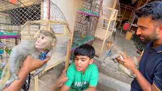 Shayan Monkey Se Dr Gea🤣