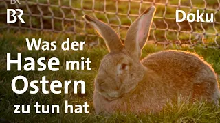 Jesus, Ei und Osterhase: Bräuche zu Ostern | Sehen statt Hören | Doku | BR