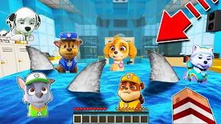 APARECEN TIBURONES EN LA TORRE DE LA PAW PATROL EN MINECRAFT