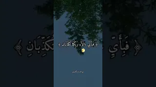 جمــــال الصـــوت 😍❤ من سورة الرحمان 💜 | القارئ زكريـــاء سريري