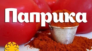 Паприка (Paprika) Amideya.com.ua