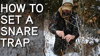 Snare Trapping For Coyotes And Game Animals | How To Set Snare Traps