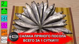 Вкуснейшая салака пряного посола. Как мариновать салаку ЗА СУТКИ? 027