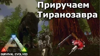 Ark survival evolved mobile | Приручаем тиранозавра в соло! И как это сделать ?