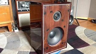 Testing My first Reconed Speaker 35ГДН-1-4