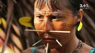 Знайомство з племенем Яномамі. Бразилія. Світ навиворіт 10 сезон 26 випуск