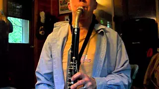 Alto Clarinet Rescued from life of ridicule and humiliation.