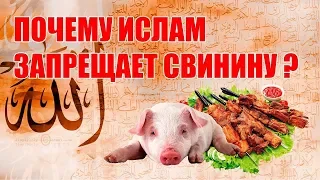 Вот почему мусульманам нельзя есть свинину