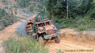 lori balak Malaysia [ logging trucks  Terengganu Malaysia] the power off RH8 full power