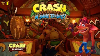 ПЕРВЫЙ КРЭШ, ПЕРВЫЙ БОСС! #1 ➤ Crash Bandicoot N. Sane Trilogy PS4 PRO