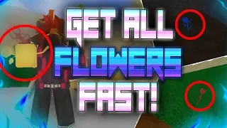 HOW TO GET ALL 3 FLOWERS FAST + RACE PROGRESSION QUEST V2 | BLOX PIECE UPDATE 8 | ROBLOX |