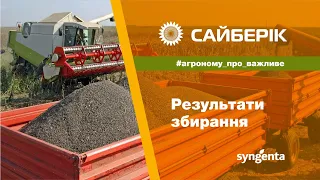 Сайберік: результати збирання