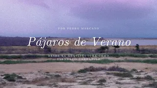 Video Ensayo Pájaros de Verano - Pedro Marcano