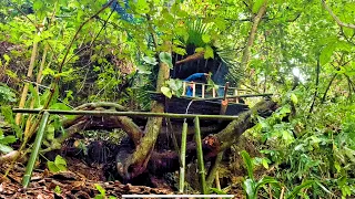 Survival challenge: Build a tree house with bamboo. Search for food in the forest. part 3.#survival