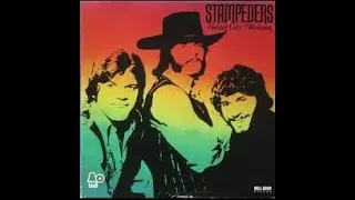 Sweet city woman -The Stampeders (RaySound cover)