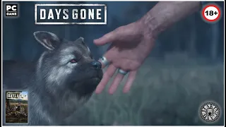 Будь по-твоему. Поймать собаку. Days Gone 2021 (PC)