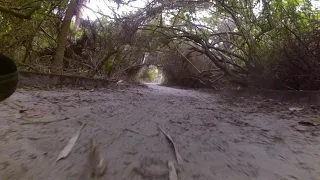 Eagle Wheelchair on Trails and Sand with Camera Mounted to Footrest