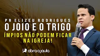 O Joio e o Trigo (Mt 13:29,30) Você Entendeu a parábola errada | Pr Elizeu Rodrigues