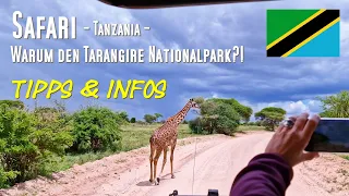 Safari in Tanzania: Tarangire NP Why d Tarangire, tips & info what all is important on a safari