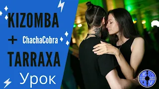 Kizomba + Tarraxinha: Chachacobra видео урок