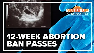 NC legislature overrides veto, passes 12-week abortion ban