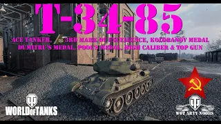 T-34-85 - Ace, 3rd MOE, Kolobanov, Dumitru's, Pool's, High Caliber & Top Gun