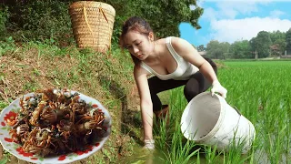 Hard work catching crabs to sell at the market - Cook crab soup at the Farm  | Ngân Daily Life