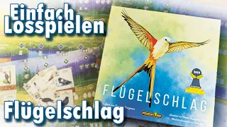 Flügelschlag Einfach Losspielen ohne langes Gerede (Regelvideo)