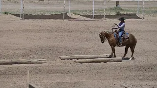 EXCA 2024 05 11 El Paso Sheriff's Posse Ranch Versatility #2 Karla B Kissed By Gold