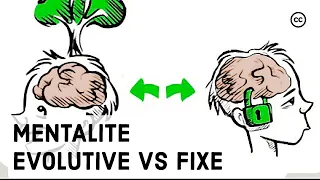 Mentalité évolutive vs mentalité fixe