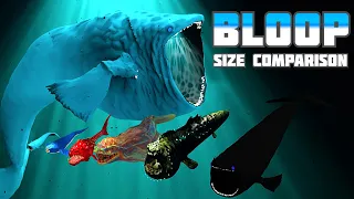 The Evolution and Size Comparison of The Bloop