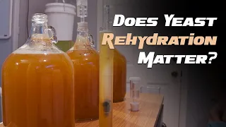 Does Yeast Rehydration Matter? - A Reflective Test