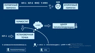 ЛИХОРАДКА. Патофизиология. Механизм образования лихорадки