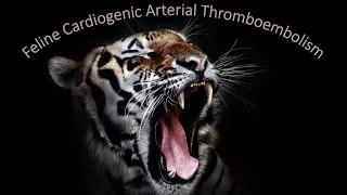 Do Cats Get Embolisms? Discussion of Feline Cardiogenic Arterial Thromboembolism (CATE or FATE)